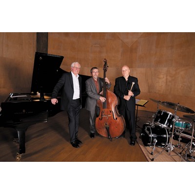 Thierry TOCANNE Trio - Photo : libre de droit 
