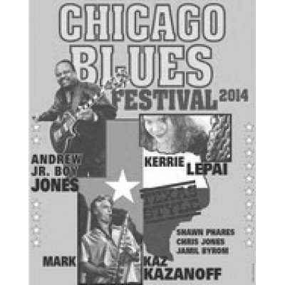 CHICAGO BLUES FESTIVAL 2014