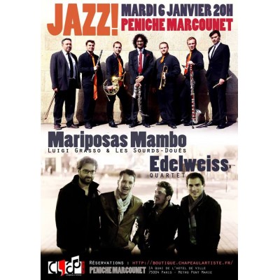 Mariposas Mambo & Edelweiss Quartet - Photo : peniche-marcounet.fr