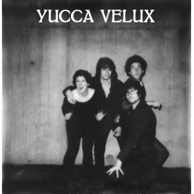 Yucca Velux