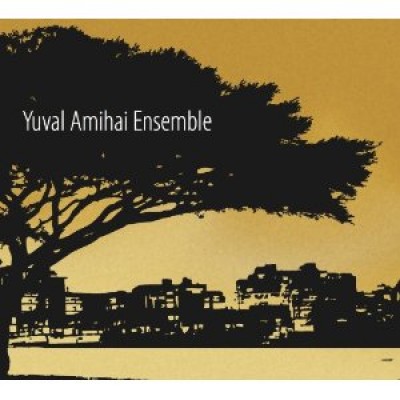 Yuval AMIHAI Ensemble 