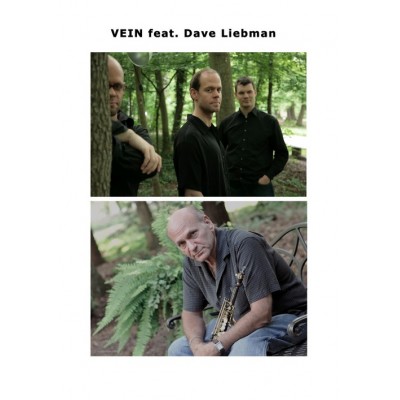 Dave LIEBMAN & VEIN Trio - Photo : x