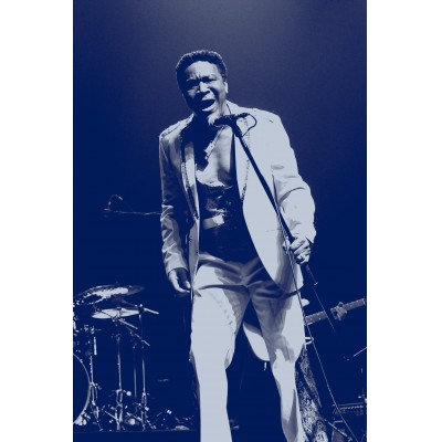 THE JAMES BROWN TRIBUTE SHOW