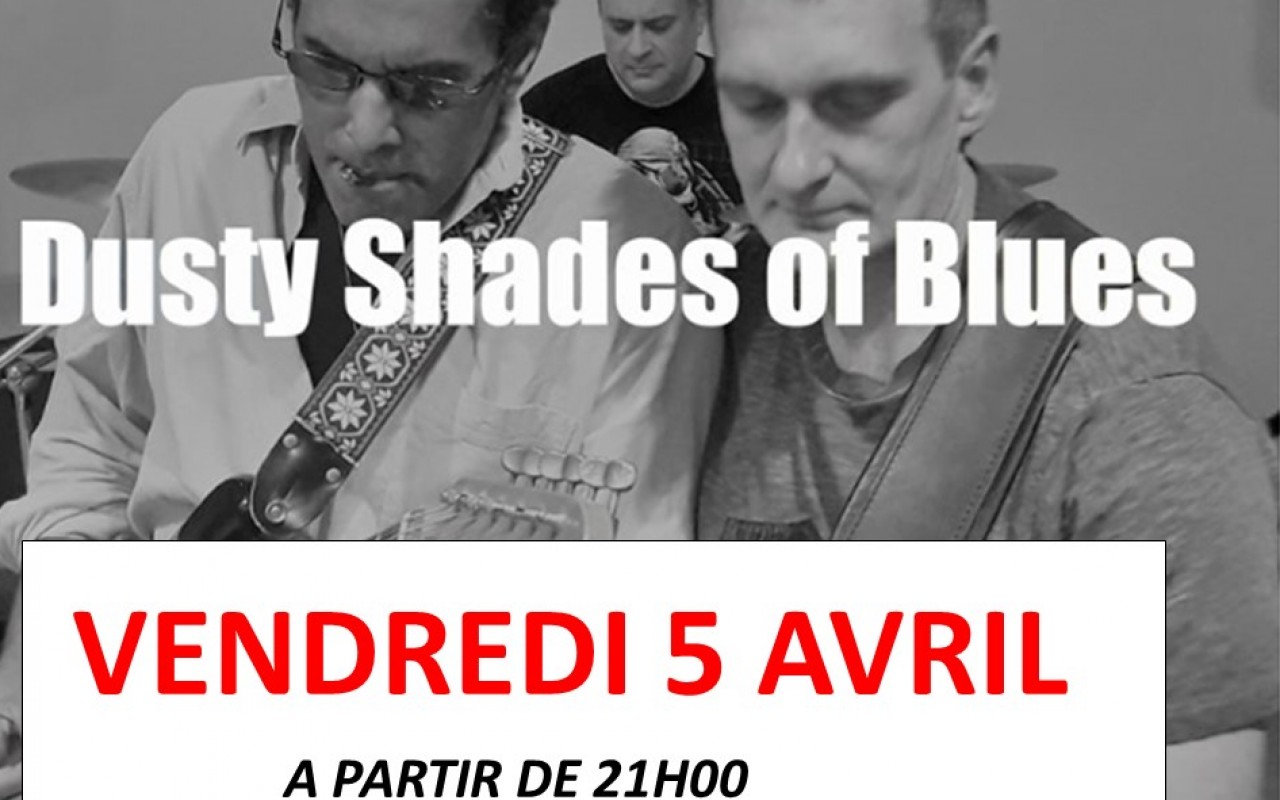 Du Blues Avec Le Groupe Dusty Shade Of Blues - "le blues "roots" comme on l'aime"