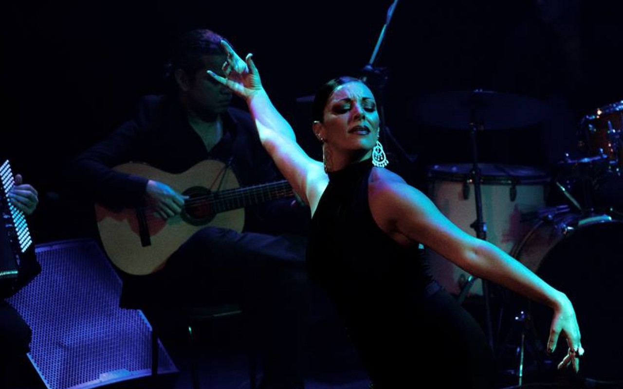 Sharon Sultan Flamenco