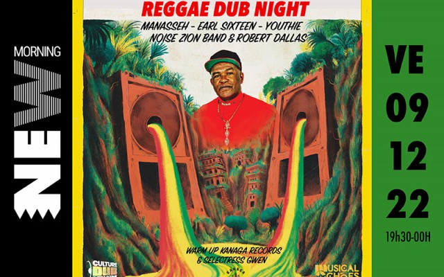 Reggae Dub Night