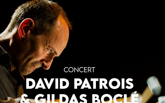 David Patrois & Gildas Boclé 