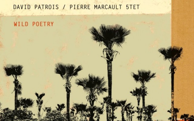 DAVID PATROIS & PIERRE MARCAULT QUINTET - Wild poetry