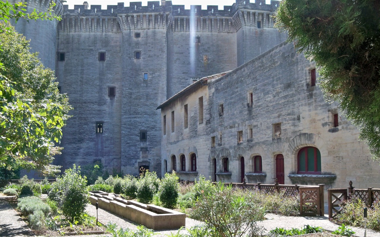 Château de Tarascon 1