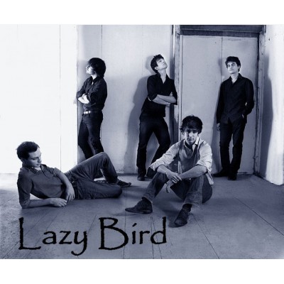 LAZY BIRD 